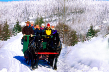Evening sleigh ride
